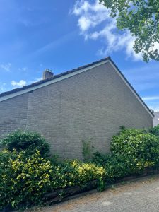 WhatsApp Image 2025-05-22 at 17.10.17_6d6031c3